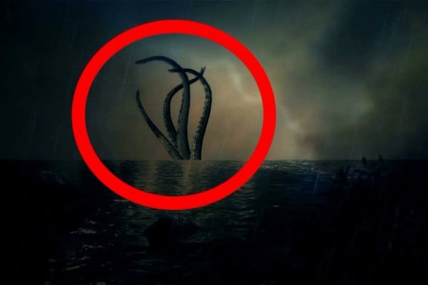 Kraken настоящая ссылка