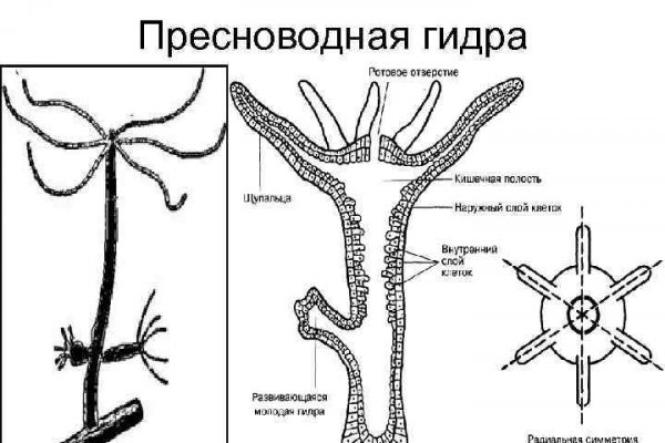 Поддержка кракен шоп