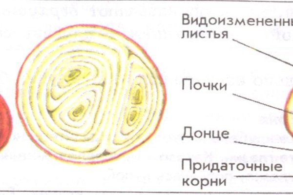 Сайт кракен гидра