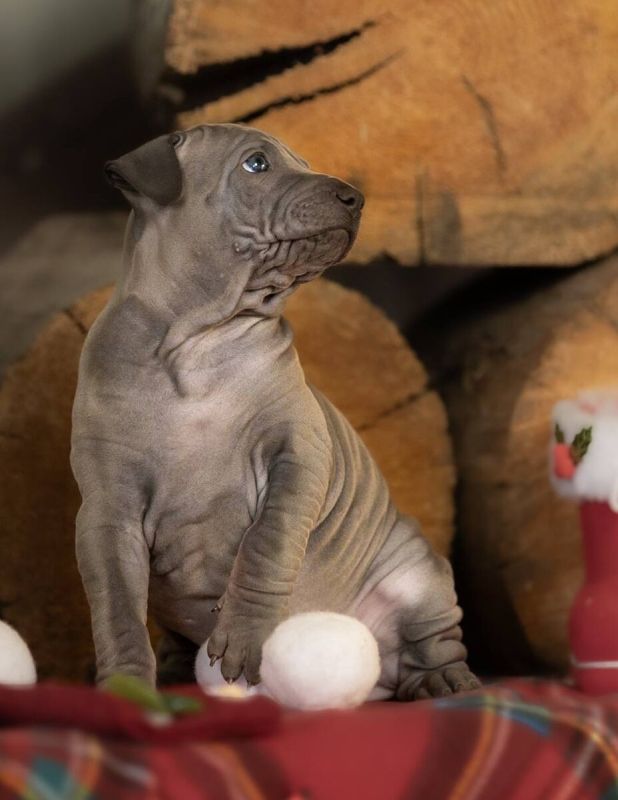 ���������: �������� ��� ���� ����� ���������� ������