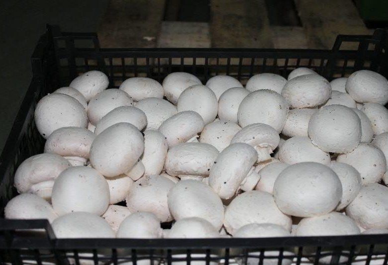 ����� � ����� �������: ������ ��� �����?