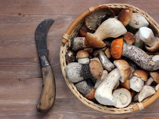 ����� ������ ������ � �����������: ��� ����� ����� ���������