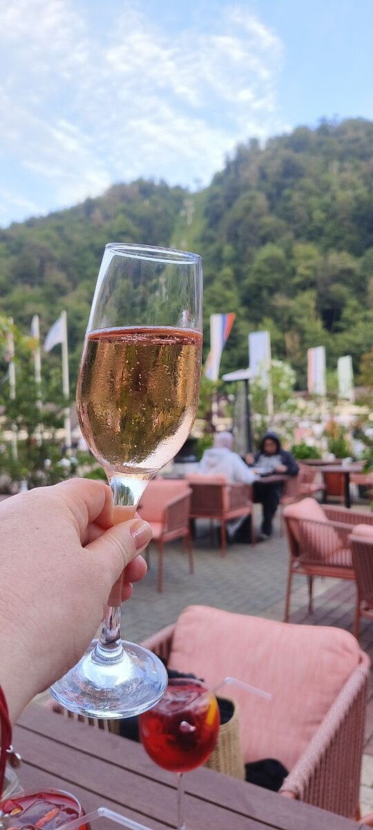 Шампанское: от монашеских традиций к постсоветским праздникам