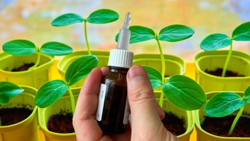 ��� �������� ������� ����� ��������� ������� ������� ��� ������ ������