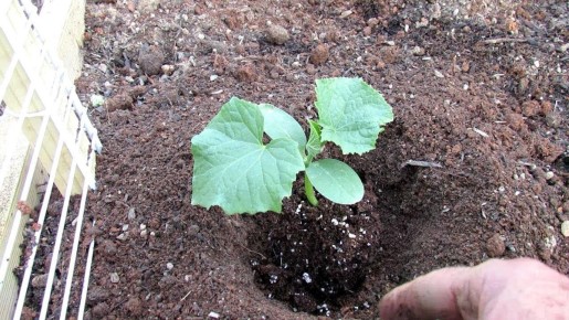 ������ ��� �������: 5 ��������, ��� � 2026 ���� �� ����� ������������������ ��� �������