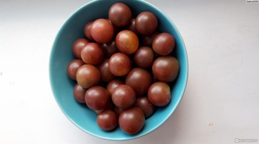 ����� ����� ���������� ������: ���������� ���� � ������ ��������� �����