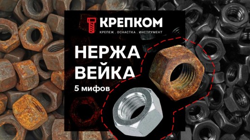 ���� � ����������: ������ ������� ����� � ��� ����� ��������