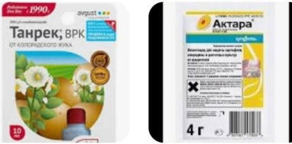 ����� � ������: ��� ������� ����������� �������� ��� ������ � �����������