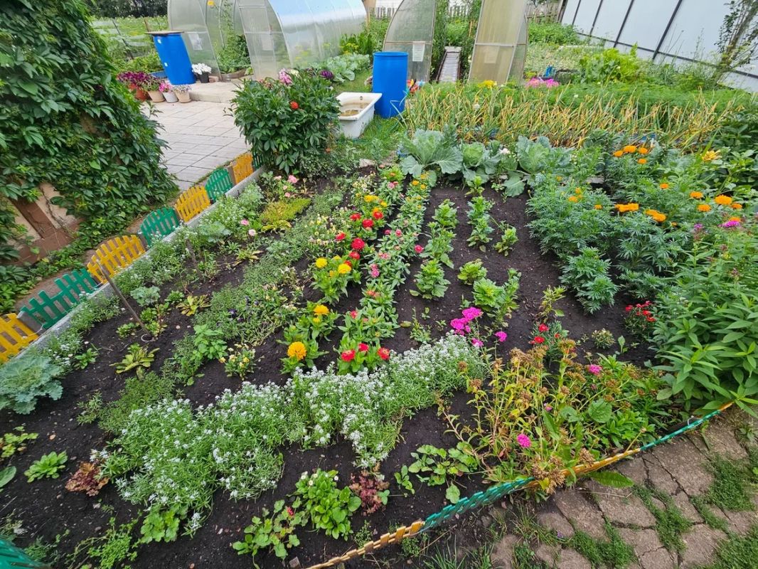 Сад как отражение души: выбрать между цветочным хаосом и монохромом