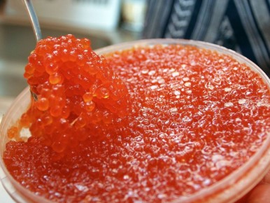 ��������������� ����������� � ������� ����: ����� ����� ��������