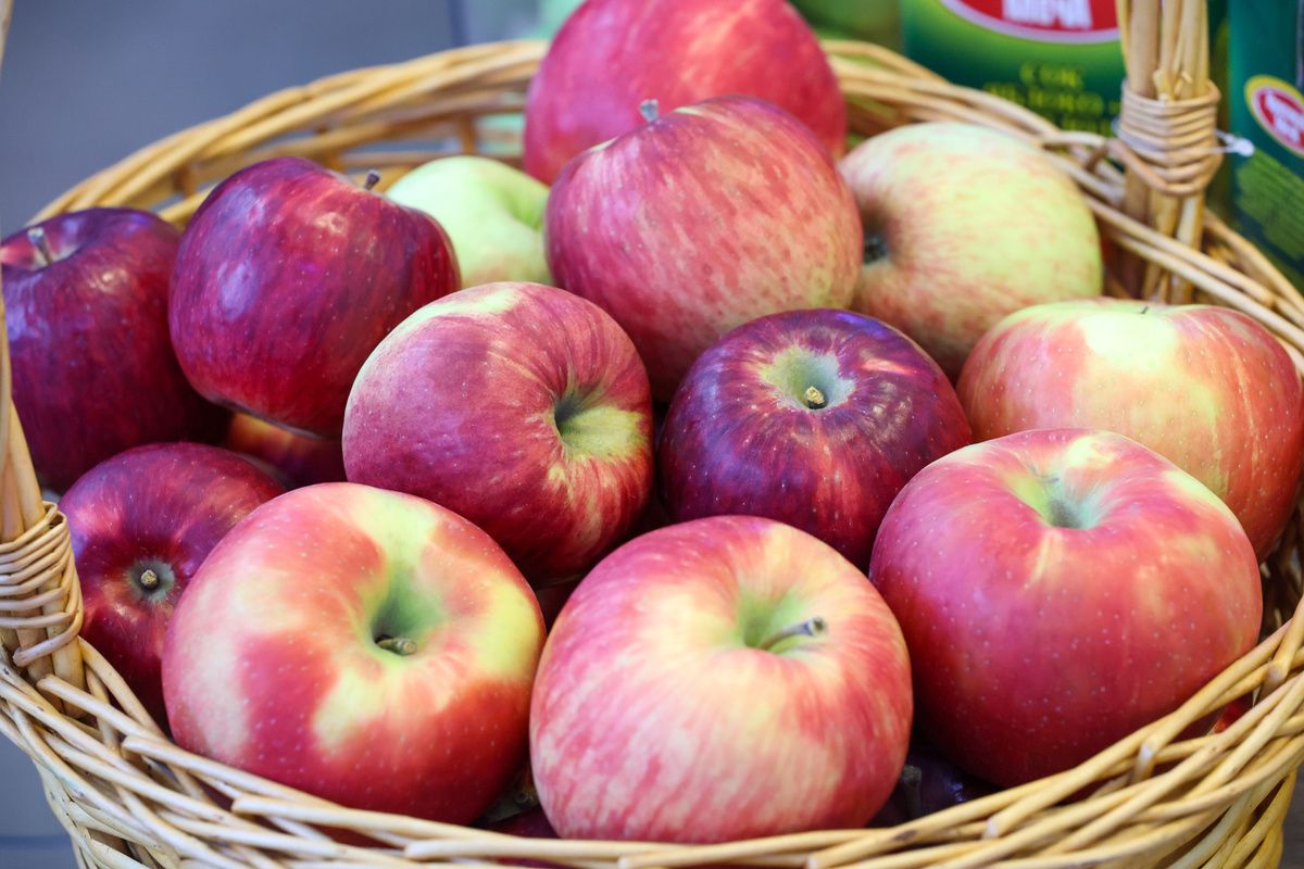 ������ �������� ������ �������, ���������� ������ �����