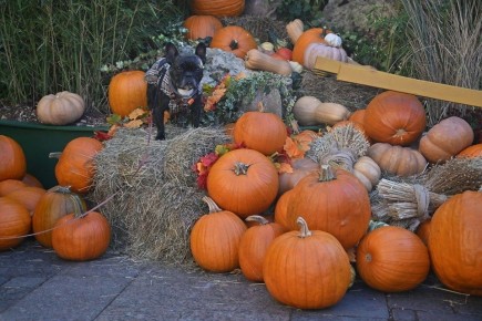 �����: ������ ���������� � ��������� �����������