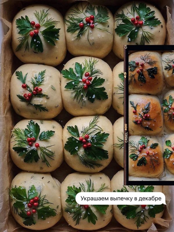 ���������� ������� Lily Morello: ��������� �� ����� �������