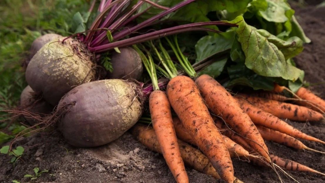 ���������� ���� ������ ������ � �������: ������ ��� ��������� ������