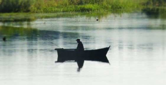 Курильский гигант: тунец за 160 миллионов рублей удивляет специалистов