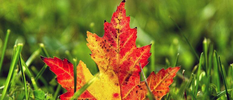 ������� � ����: ������ �� ����� �� ���������� ��� ����������