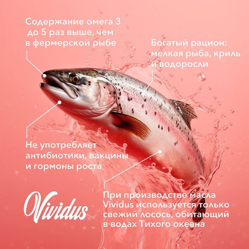 ��� ����� ������ ����������� ���������� �� ���������� �����-3