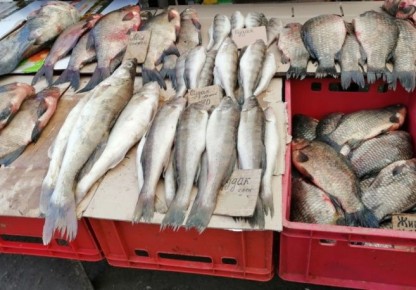 Изменение рыбного меню: россияне начинают экономить на морепродуктах