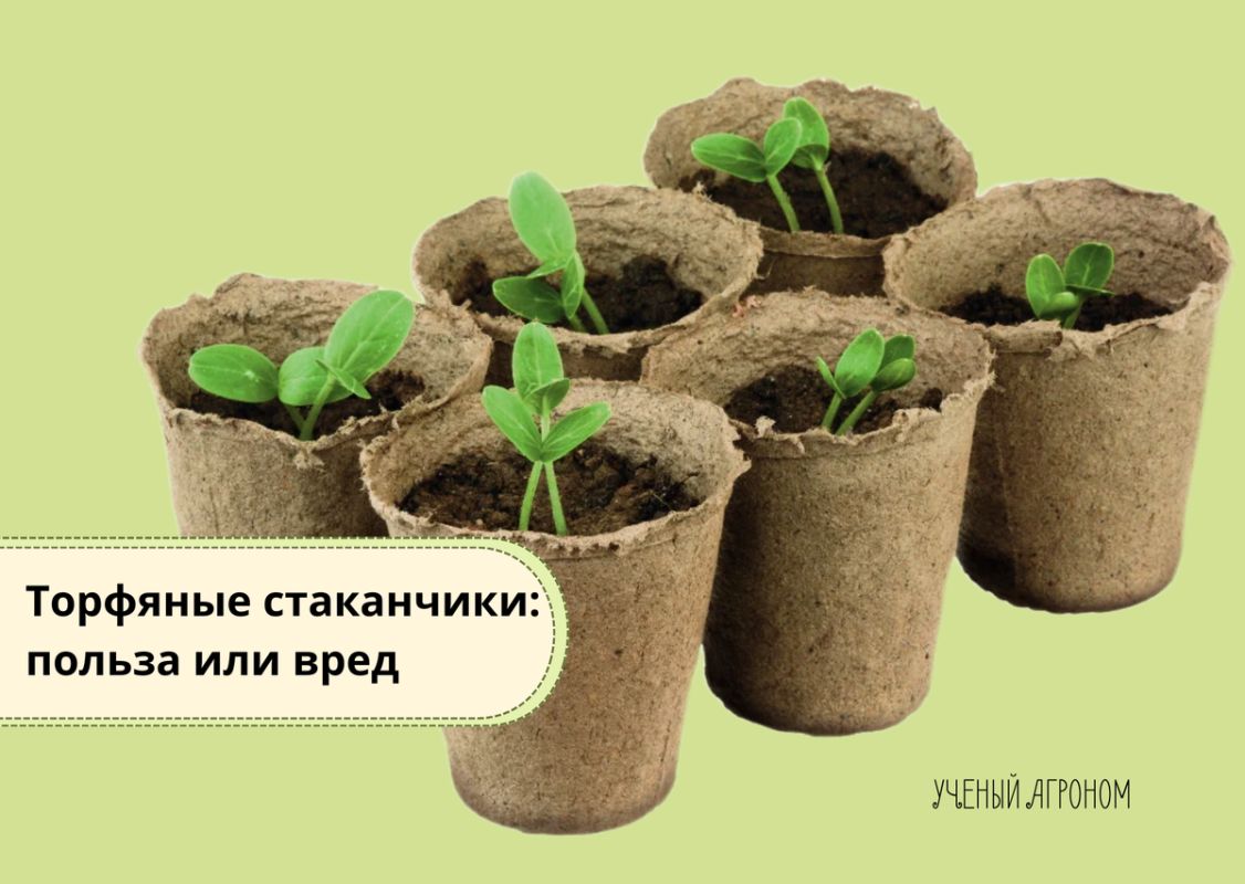 �������� ����������: �������� ���������� ��� �������� ������� ��� ���������?