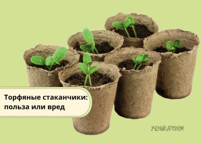 �������� ����������: �������� ���������� ��� �������� ������� ��� ���������?