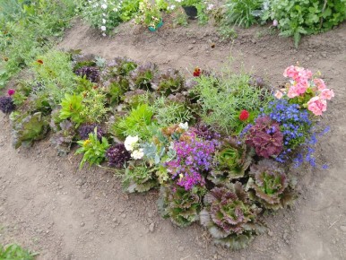 ������������ ������: ��� ������� ���� ����� ��������� �������