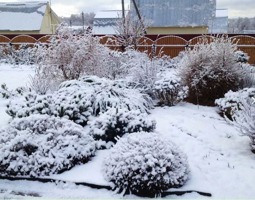 ����� ��� � �����������: ��������, ���������� �������� �� �������