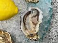 Секреты сезона устриц: когда и как наслаждаться этим деликатесом