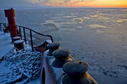 Приход новых рыб в арктические моря: перспективы и опасности