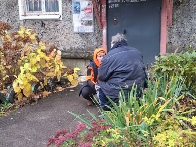 Спасение в лесу: неожиданные подробности судьбы смоленского пенсионера