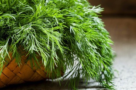 ����� ������ ��������� �����: ��������� ����� �� ���������� ������