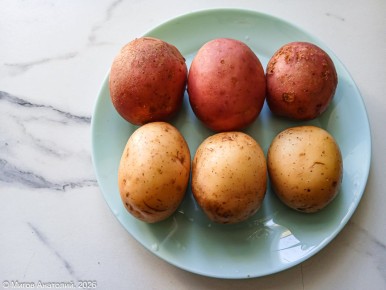 ������� ��������: ����������� � ��������� �� ������������� �����