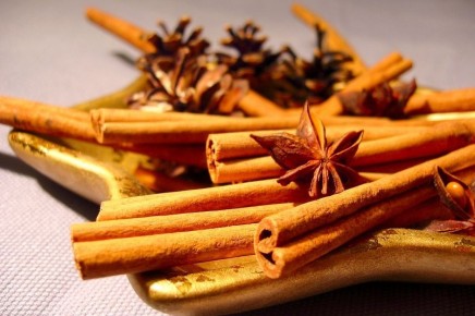 ������: ������� � �������� � ������ ����������������