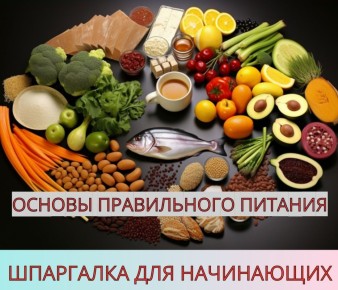 Как правильно питаться: основные принципы и советы