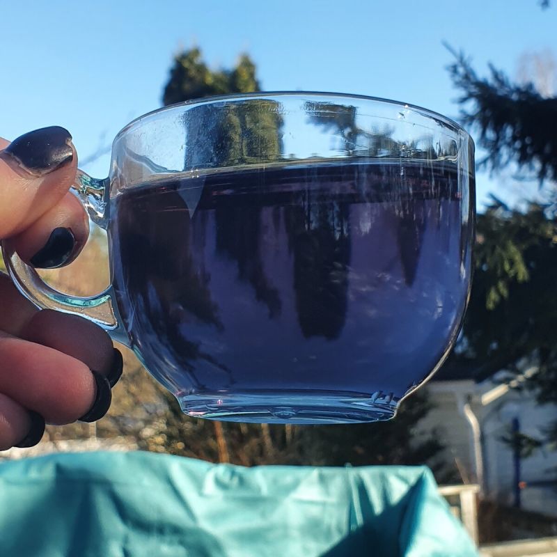 Чай "Лазурный": откровения о невероятном синем напитке