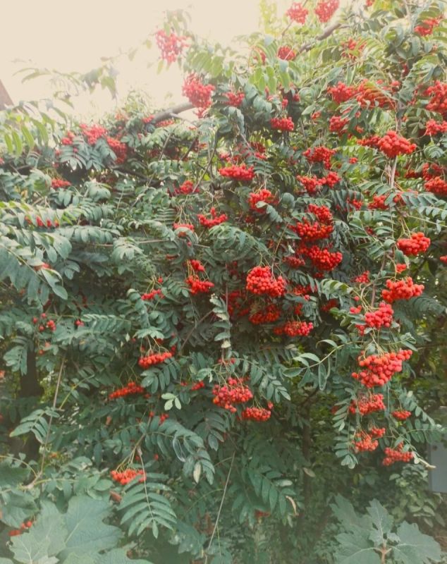 ���������� ������: �������� �������� � ���������� ����