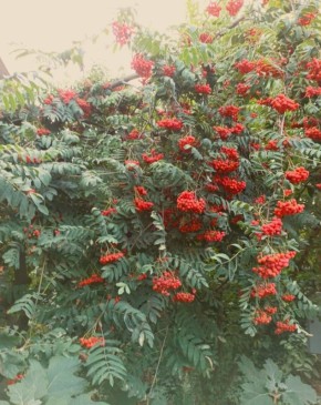 ���������� ������: �������� �������� � ���������� ����