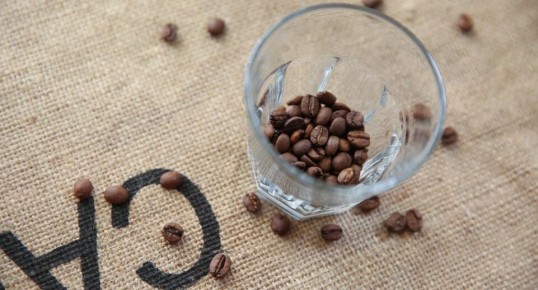 ��� ���� ������ �� ������������ ��������: ������ ����������