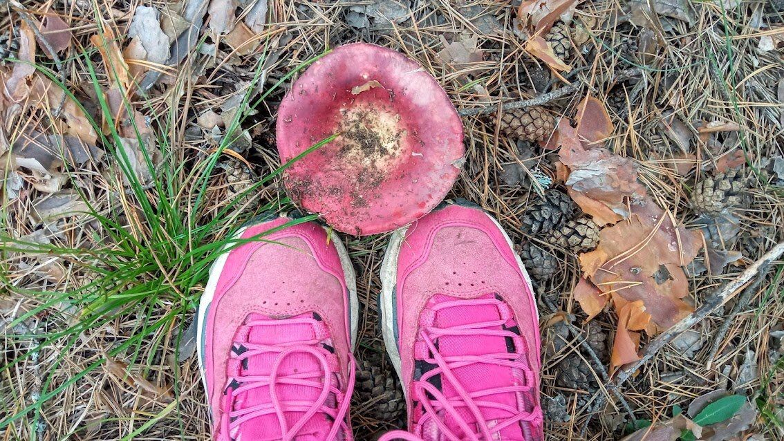 ��� ������������ ������ ��������: �������� ������