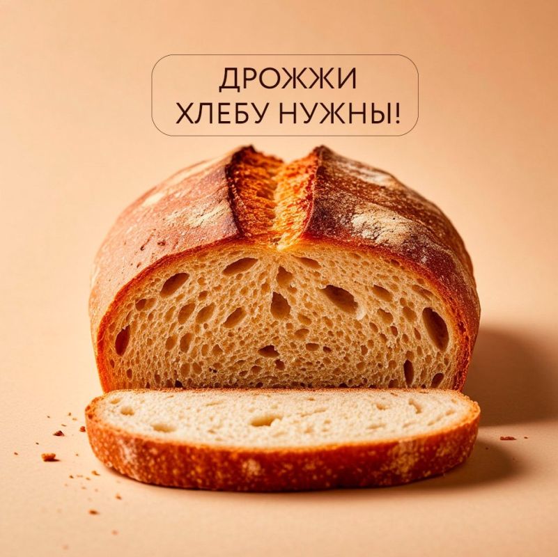 ������: ��������� ��������� � �������� �������� �����