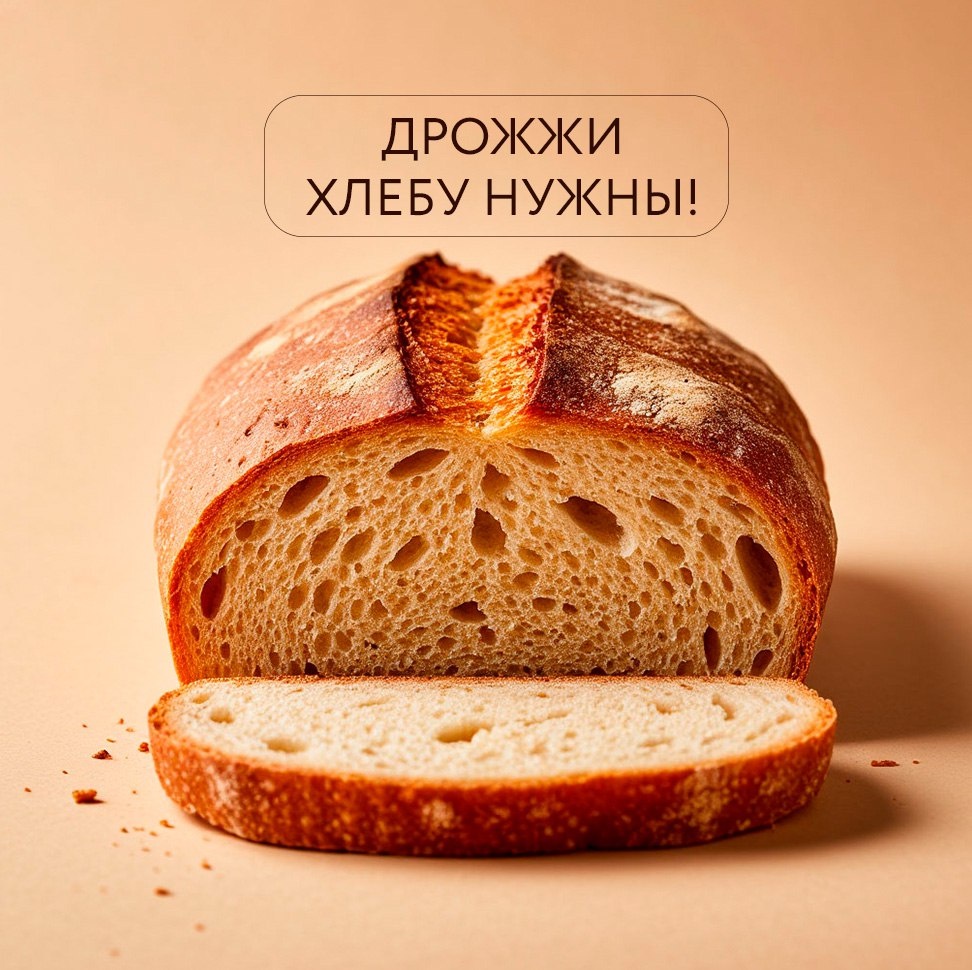 Дрожжи: маленькие помощники в создании вкусного хлеба