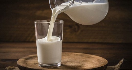 Что нужно знать о молоке: польза, вред и альтернативы