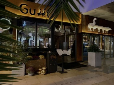 ��� ���������� �������� Gussi � ��� �� ����������� ������ ��������