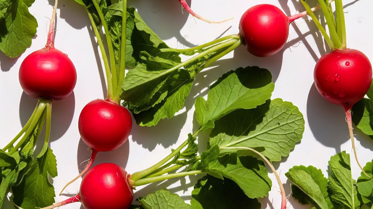 Как правильное питание влияет на здоровье и долголетие