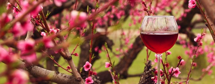 ������ ���� ��� ������� ����������