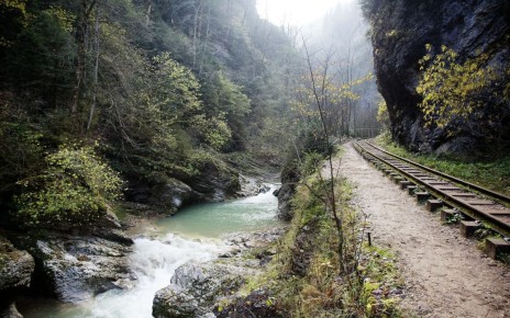 ����� ������ ��� ������: �������, ������� ����������