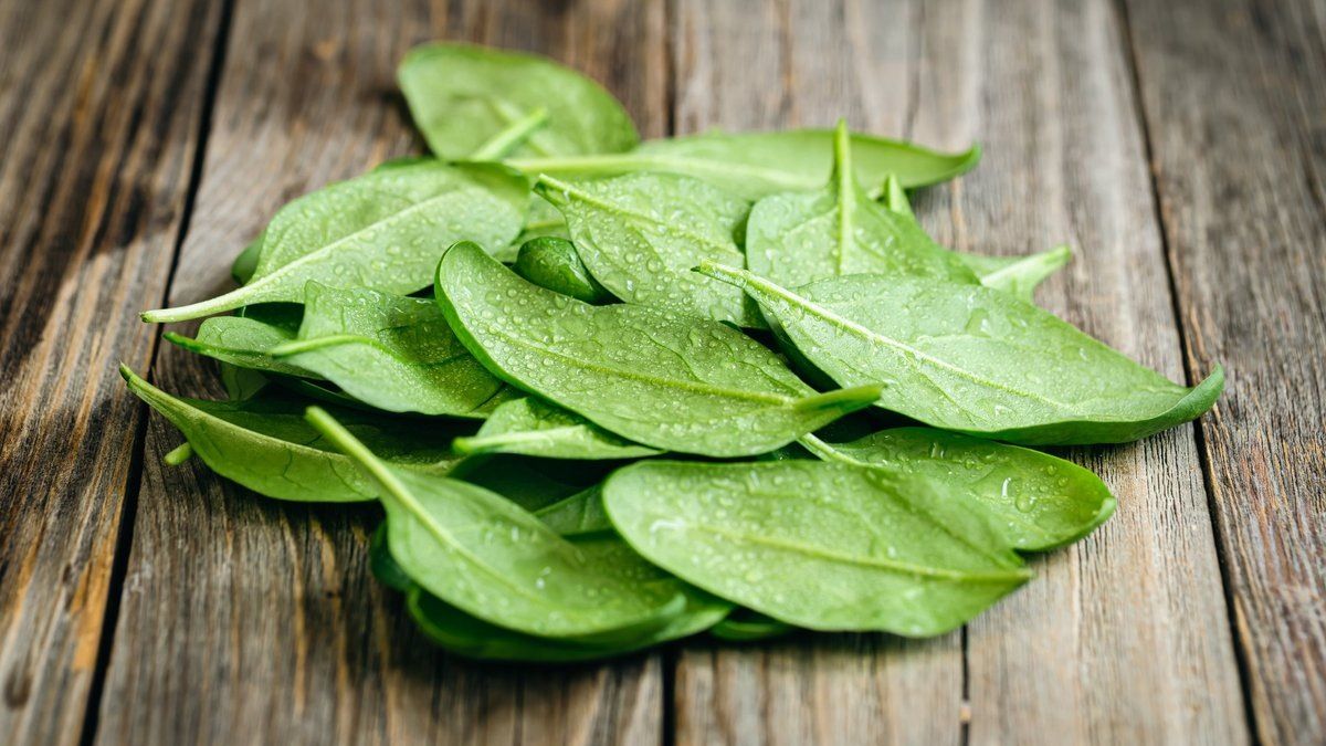 ������: �������� �������� � ������ �� �������������