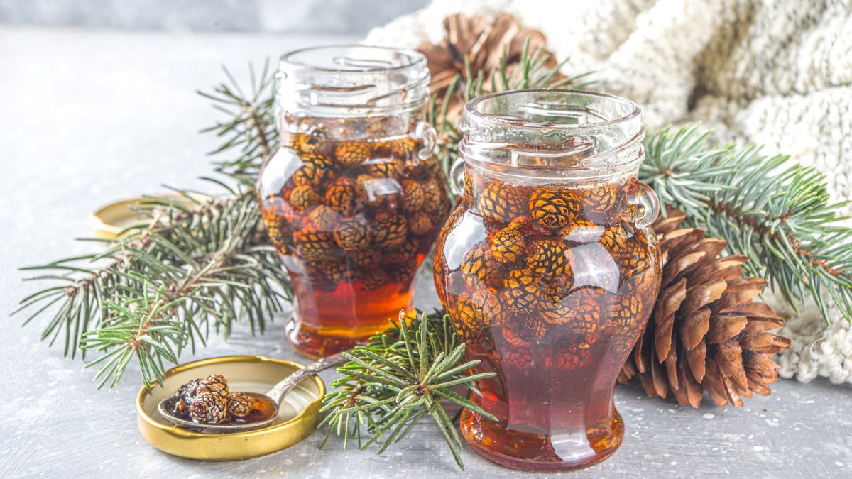 ������� �� �������� �����: ��� ��������� ������ ������ � ���� �����