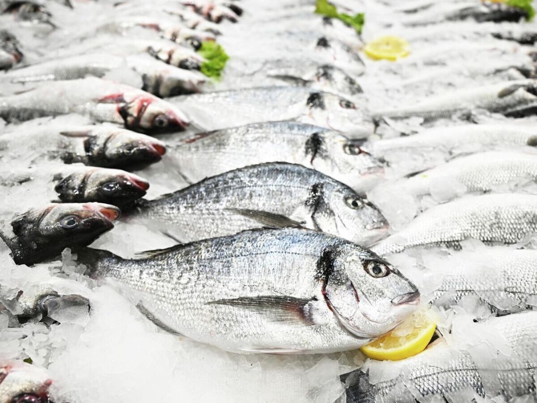 ����� ���������� ��� �������� �������� ���� ��������� �������� �������� �� �����