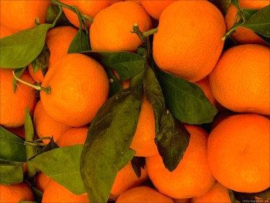 ���������: ����������� �������� ������� � ��������