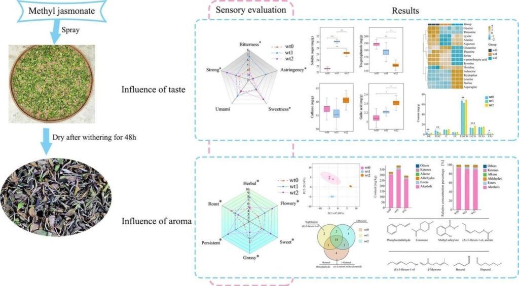 Разумный взгляд на добавки в белый чай и аромат